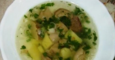 Суп из свежих белых грибов с картошкой и зеленым луком