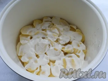 Далее выложить картофель, нарезанный тонкими кружочками в 2 слоя. Картофель посолить, немного поперчить и смазать обильно сметаной. 
