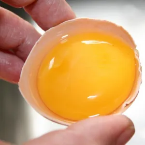 Сальмонеллез находится на скорлупе или внутри яйца?