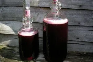 ТОП 6 рецептов приготовления вина из виноградного сока и как сделать в домашних условиях