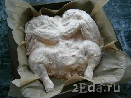 Цыпленка натереть солью и обмазать со всех сторон подготовленным соусом. Выложить цыпленка, спинкой вверх, в форму для запекания (или на противень), застеленную пергаментом.