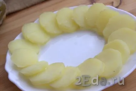 На плоское блюдо в один (или два) слоя по кругу выложить кружочки картофеля.