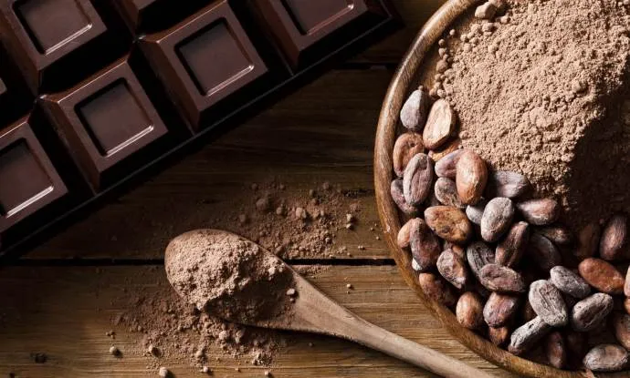 Какао-бобы и плитка