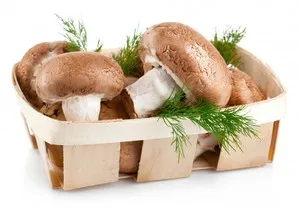 Почему полезны грибы