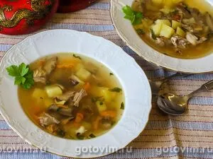 Мясной суп с картофелем и солеными грибами