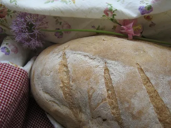 Хлеб на хмелевой закваске
