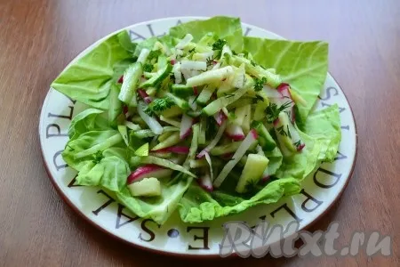 На плоскую тарелку выложить листья салата (или молодой капусты), сверху горкой - перемешанный салат.