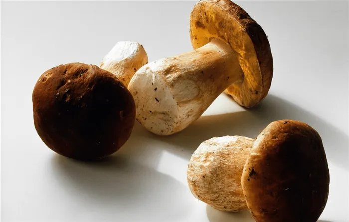 Бефстроганов из говядины с грибами рецепт