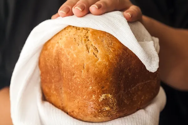 homemade white bread in hands on a white waffle towel black apron - Гречневый хлеб в хлебопечке