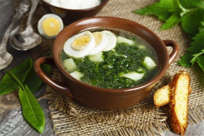 12 простых и вкусных щавелевых супов с яйцом