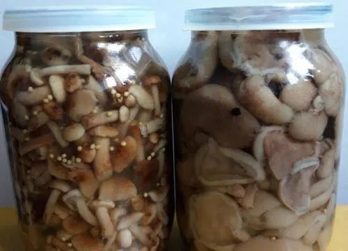 Универсальный рецепт маринования грибов. Универсальный и простой маринад для заготовки любых грибов