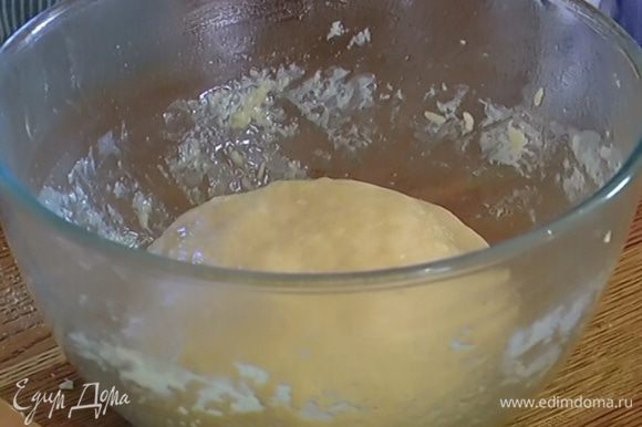 Слегка смазать глубокую посуду оливковым маслом, выложить в нее тесто, накрыть полотенцем и поставить в теплое место. Через 45 минут тесто обмять, снова накрыть и поставить еще на 30 минут в теплое место.