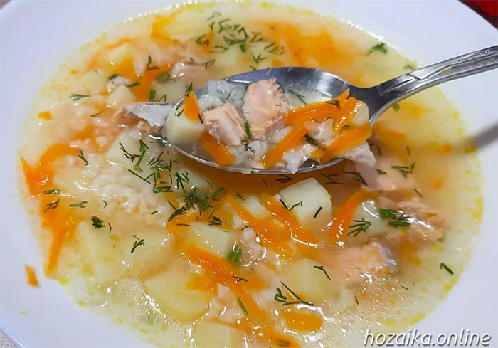 суп из кеты в тарелке